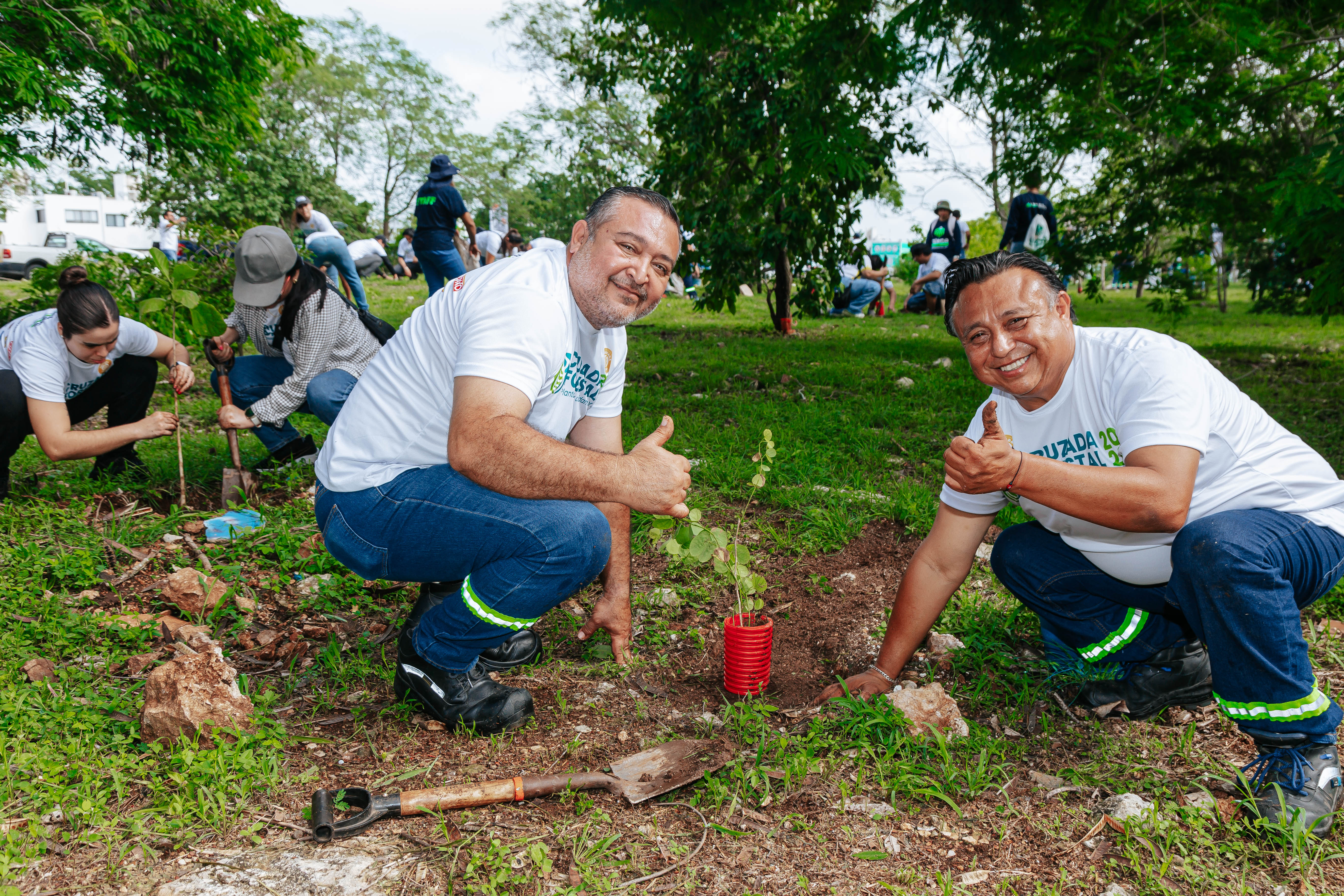 Bepensa se suma a la Cruzada Forestal 2026 con la plantación de 500 árboles en Mérida